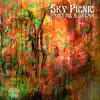 Sky Picnic - Paint Me a Dream